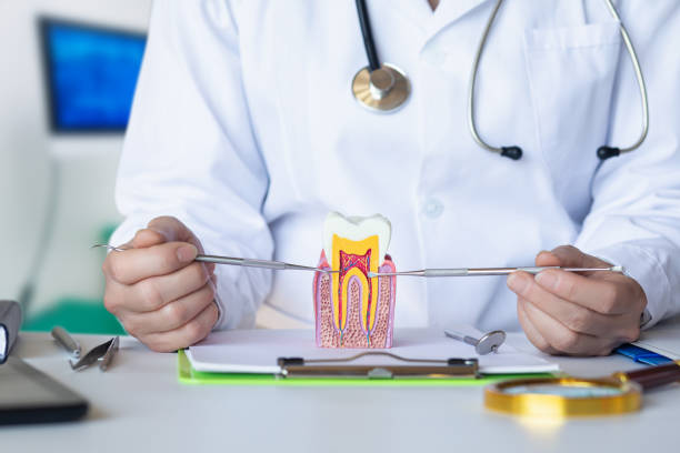 Best Urgent Tooth Repair  in Cullman, AL